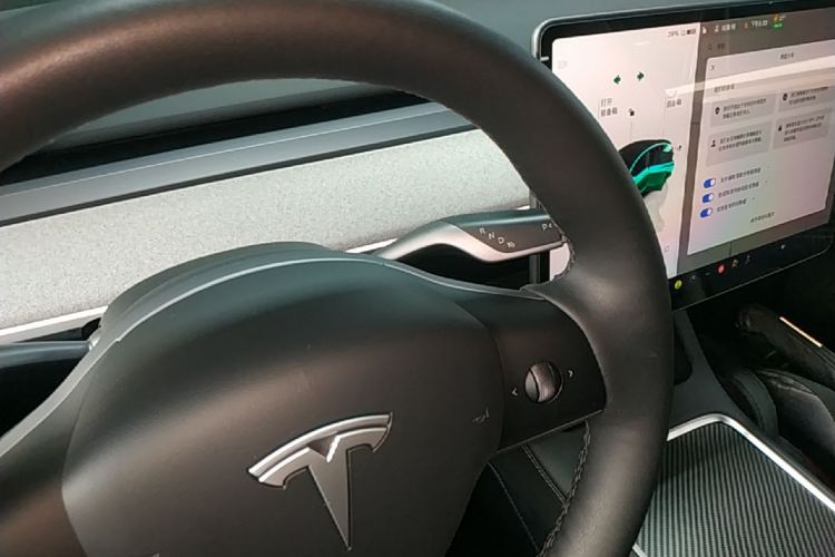 Tesla Model Y 2024 car image #23