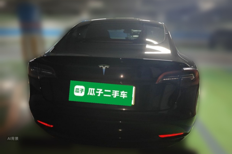 Tesla Model 3 2023 car image #6