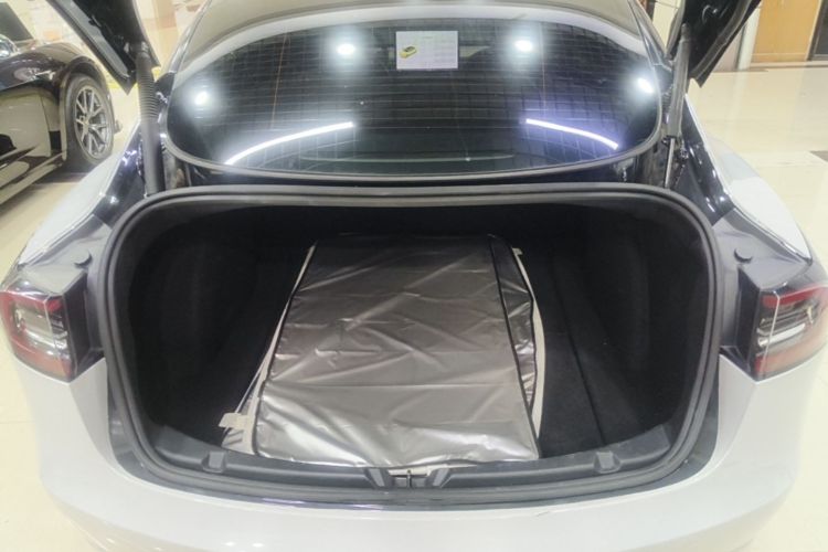 Tesla Model 3 2021 car image #21