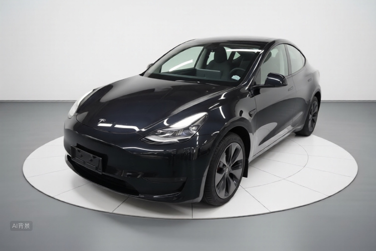 Tesla Model Y 2024 car image #2