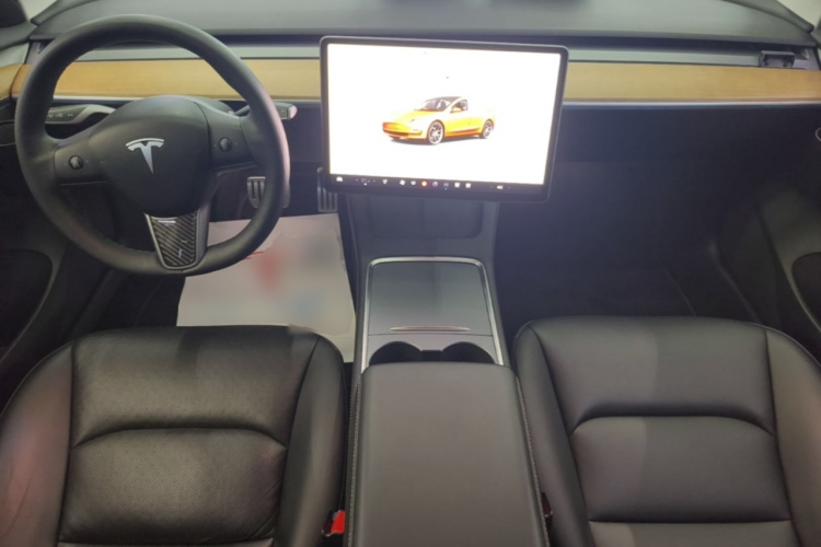 Tesla Model 3 2022 car image #10