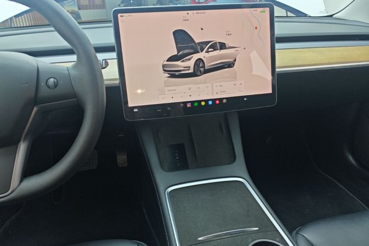 Tesla Model 3 2022 imagem de carro #13