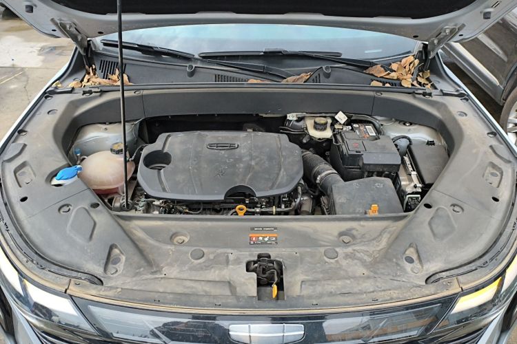 GEELY Boyue L 2023 imagen de coche #20