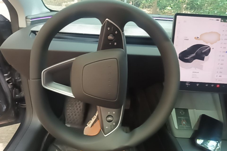 Tesla Model 3 2025 #15 Tesla Model 3 2025 immagine di auto #15