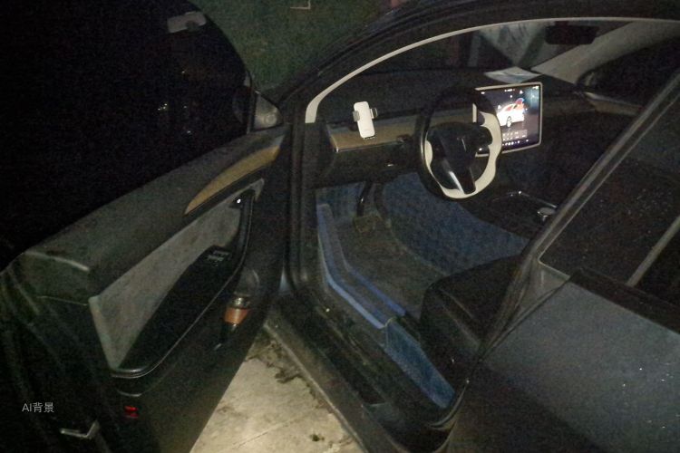 Tesla Model Y 2023 car image #18