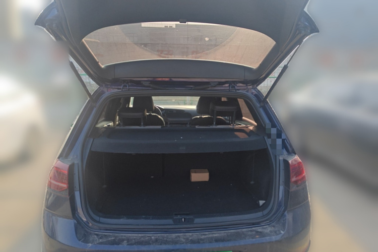 Volkswagen Golf 2019 #19 Volkswagen Golf 2019 car image #19