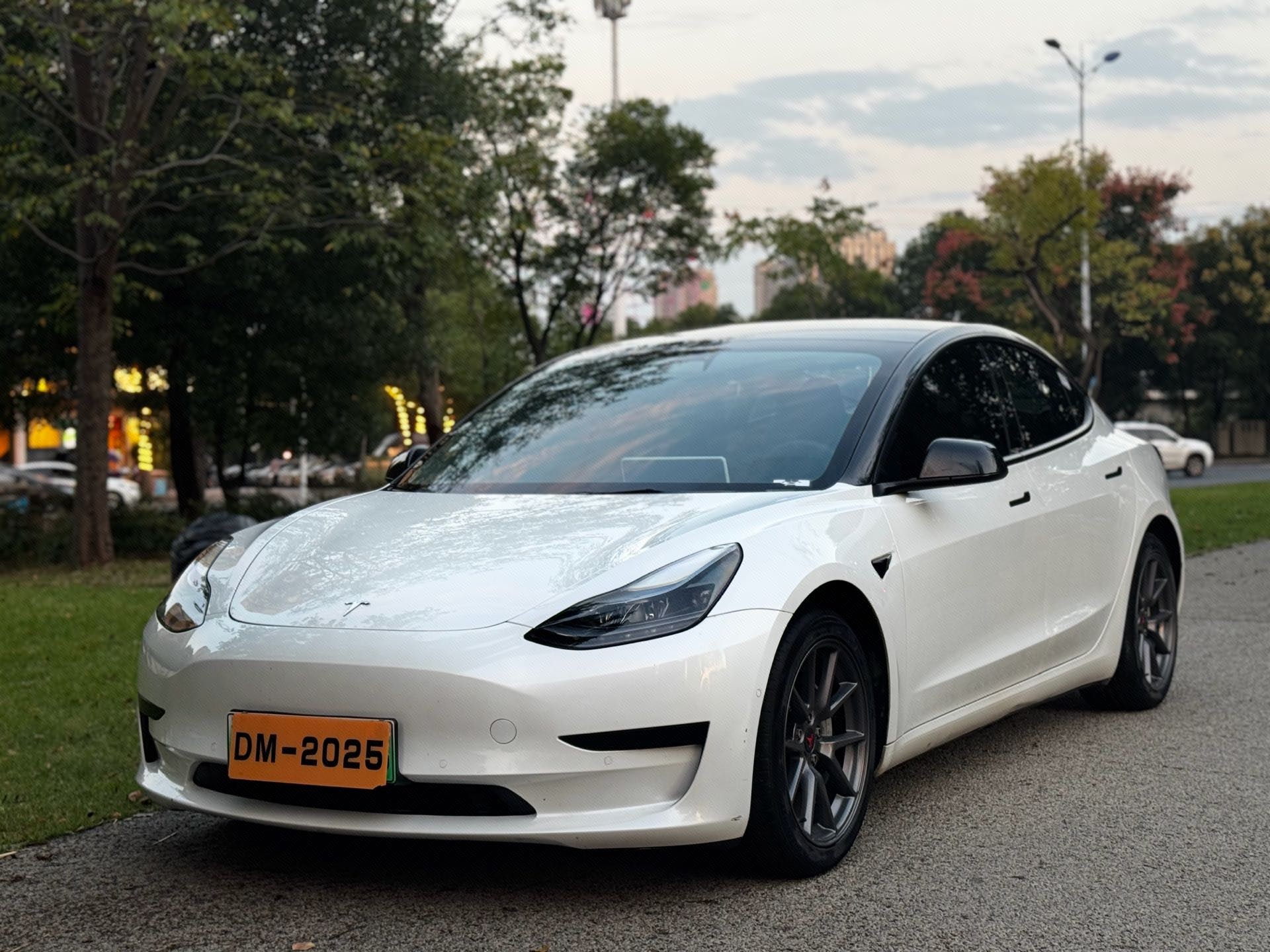 Tesla Model 3 2021 car image 