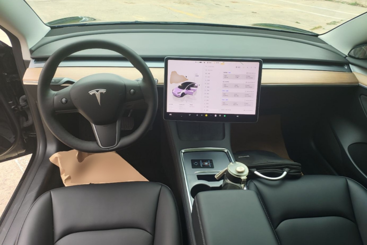 Tesla Model 3 2022 #10 Tesla Model 3 2022 car image #10