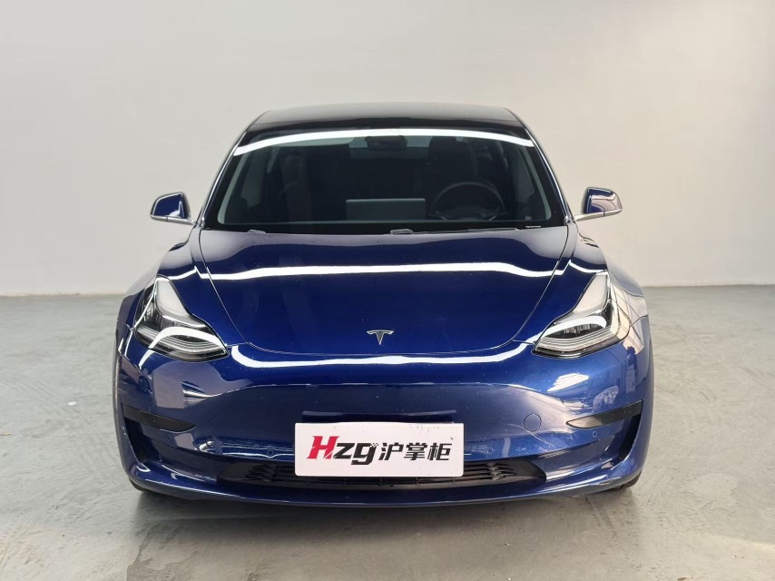 Tesla Model 3 2020 car image #2