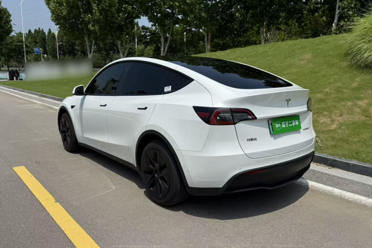 Tesla Model Y 2023 car image #7