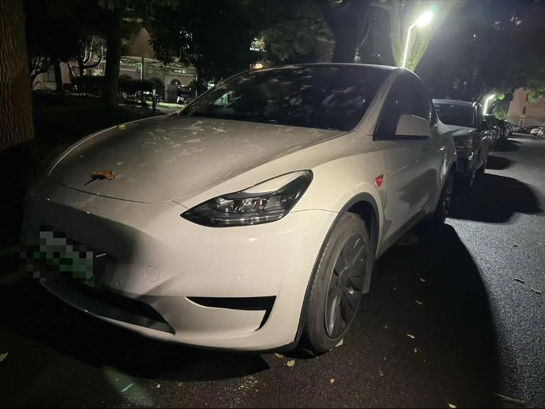 Tesla Model Y 2022 Tesla Model Y 2022 car image
