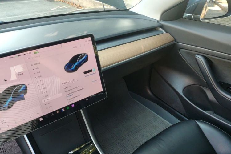 Tesla Model 3 2020 car image #13