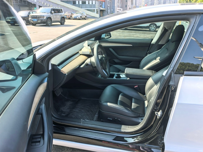 Tesla Model 3 2021 car image #4