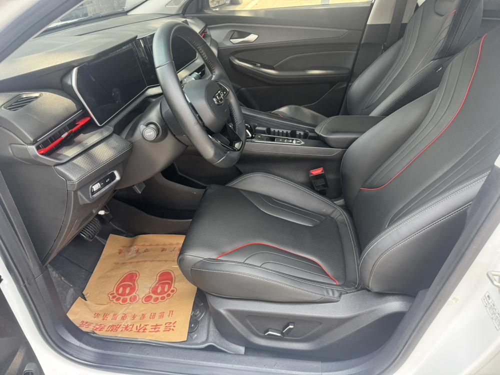 GEELY Binray 2022 immagine di auto #14