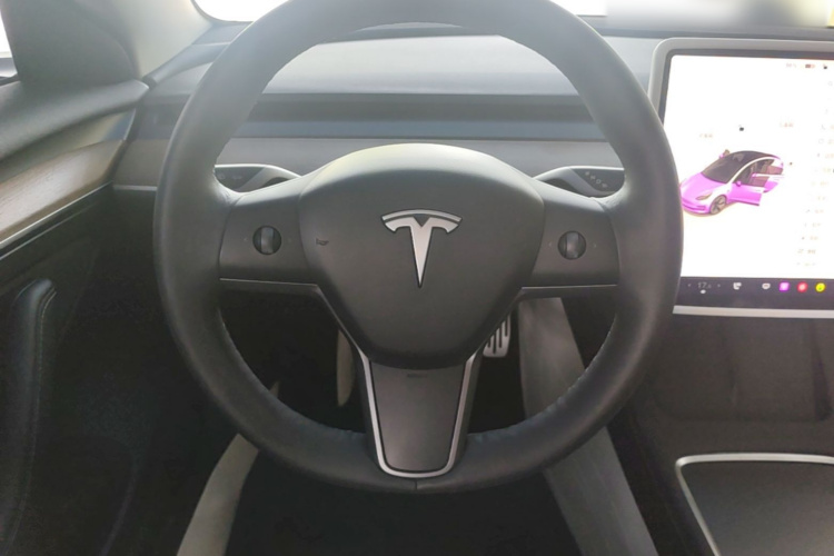 Tesla Model 3 2022 car image #11