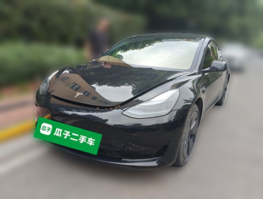 Tesla Model 3 2023 Tesla Model 3 2023 car image