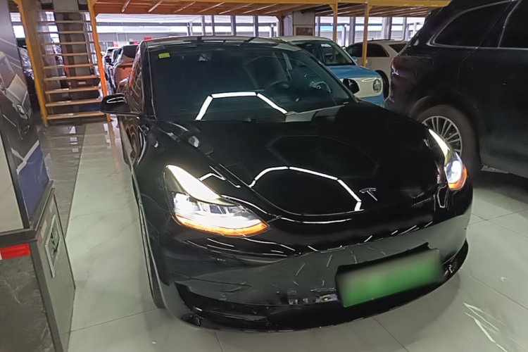 Tesla Model 3 2021 car image #6