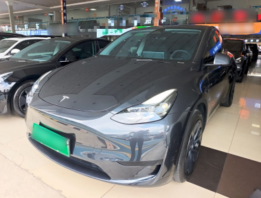 Tesla Model Y 2024 car image 