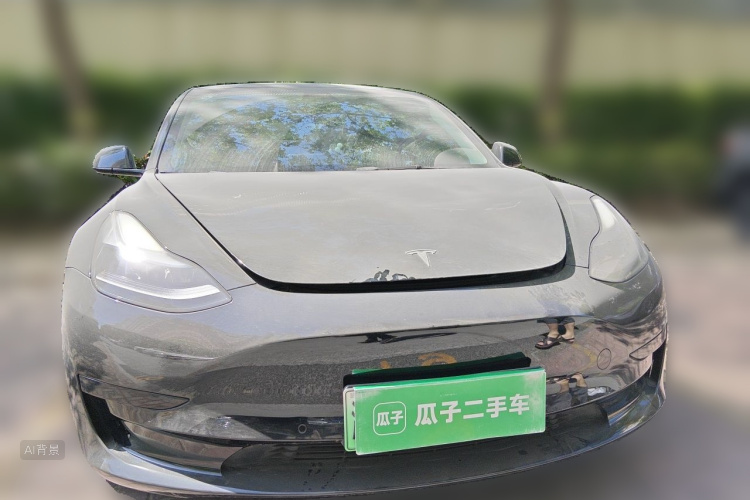 Tesla Model 3 2021 #3 Tesla Model 3 2021 car image #3