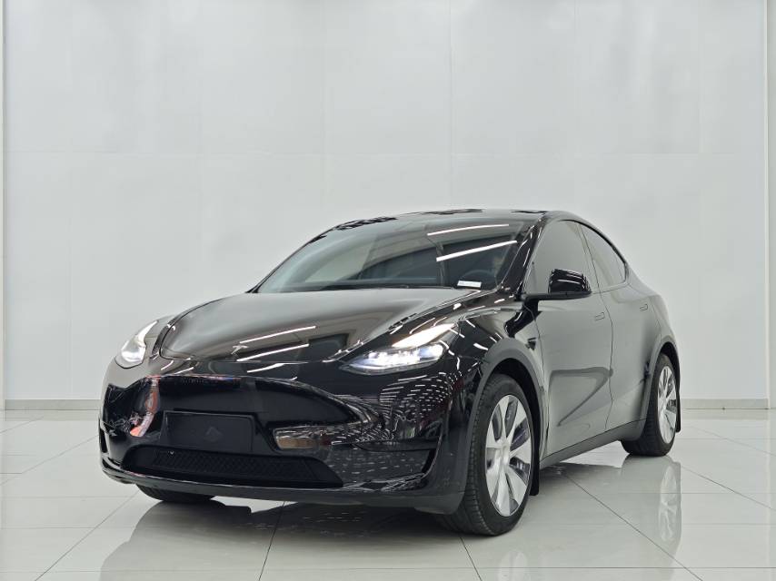 Tesla Model Y 2023 Tesla Model Y 2023 car image