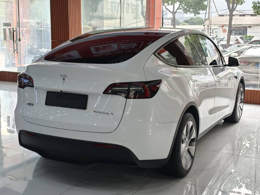 Tesla Model Y 2023 #9 Tesla Model Y 2023 car image #9