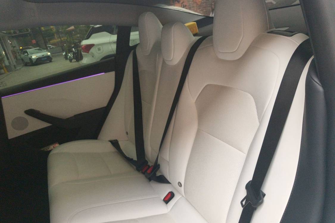 Tesla Model 3 2024 imagen de coche #19