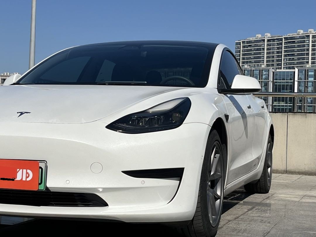 Tesla Model 3 2021 car image #9