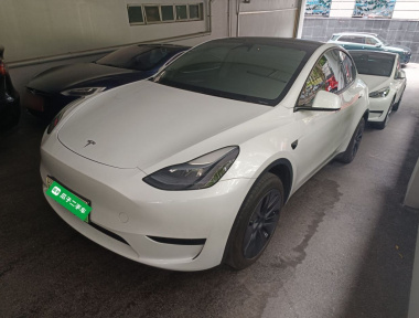 Tesla Model Y 2024 Tesla Model Y 2024 car image