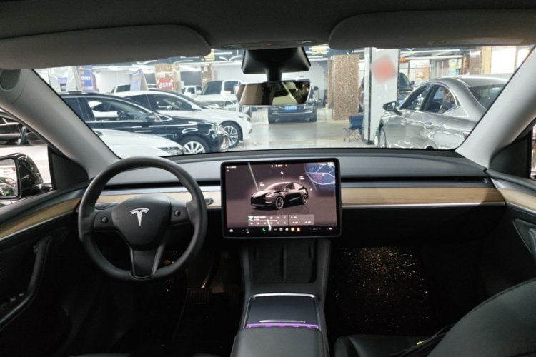 Tesla Model Y 2023 #10 Tesla Model Y 2023 car image #10