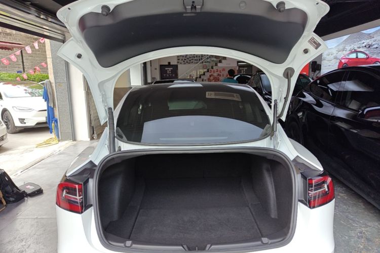 Tesla Model 3 2021 immagine di auto #19