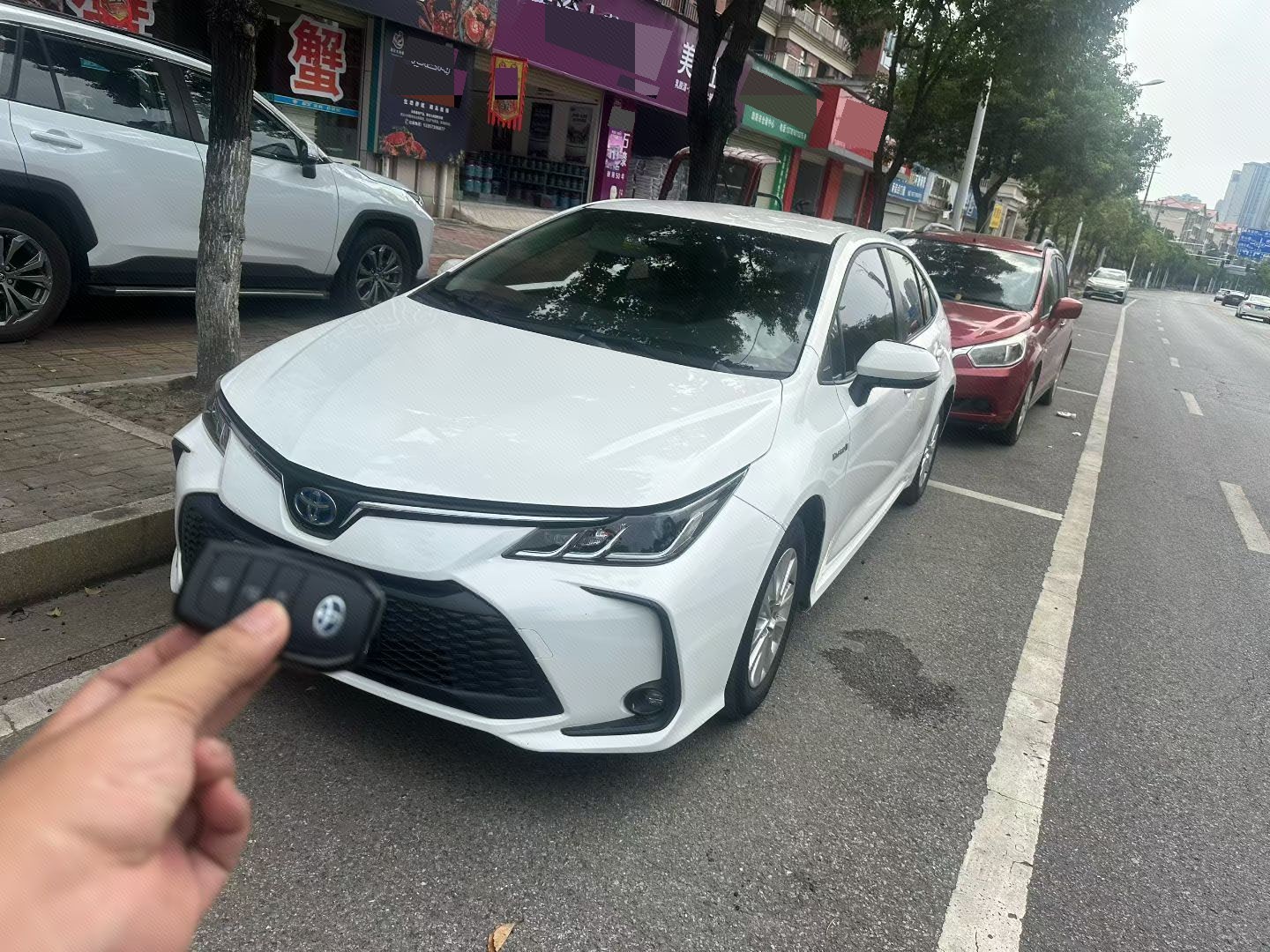 Toyota Corolla 2023 car image 