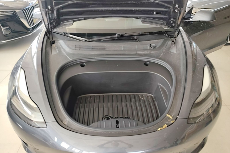Tesla Model 3 2021 #20 Tesla Model 3 2021 car image #20