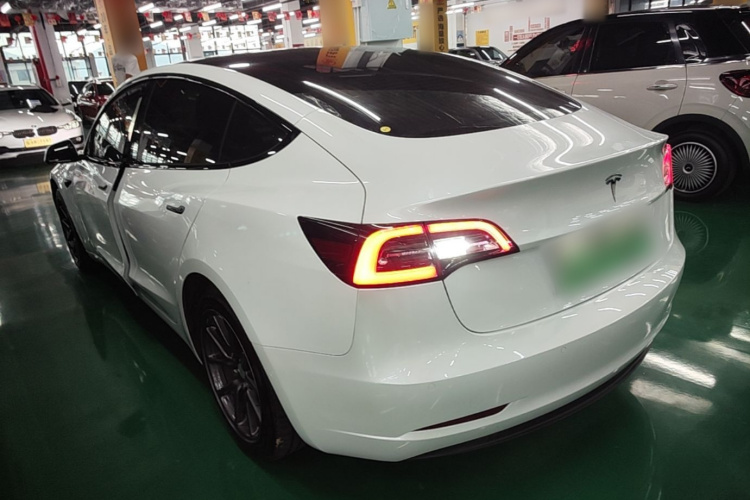Tesla Model 3 2020 #5 Tesla Model 3 2020 car image #5