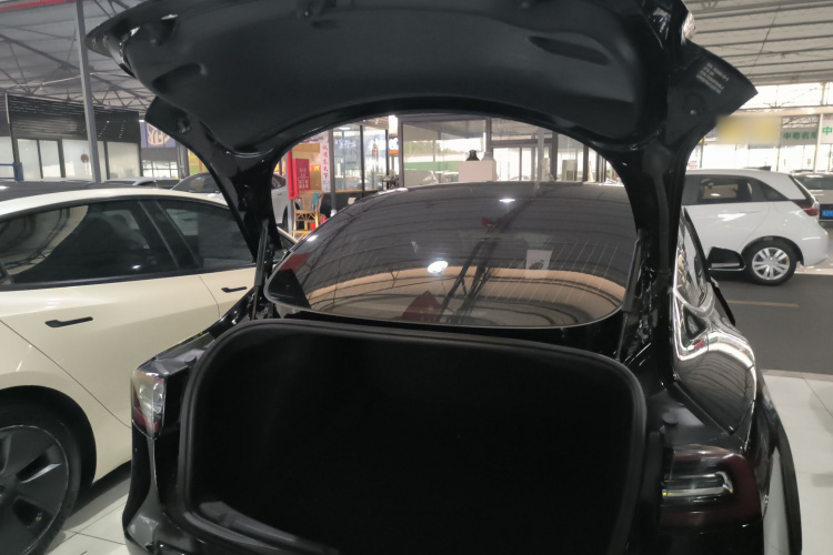 Tesla Model 3 2020 #19 Tesla Model 3 2020 car image #19