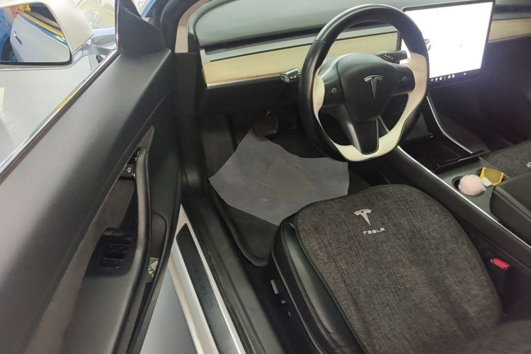 Tesla Model 3 2020 car image #12