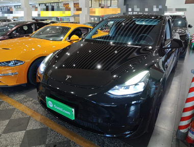 Tesla Model Y 2023 Tesla Model Y 2023 car image