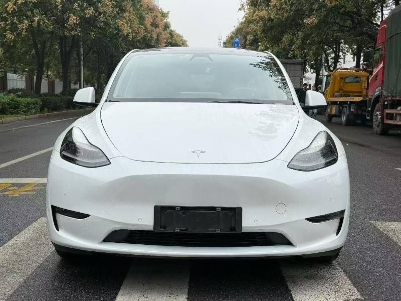 Tesla Model Y 2021 #2 Tesla Model Y 2021 car image #2