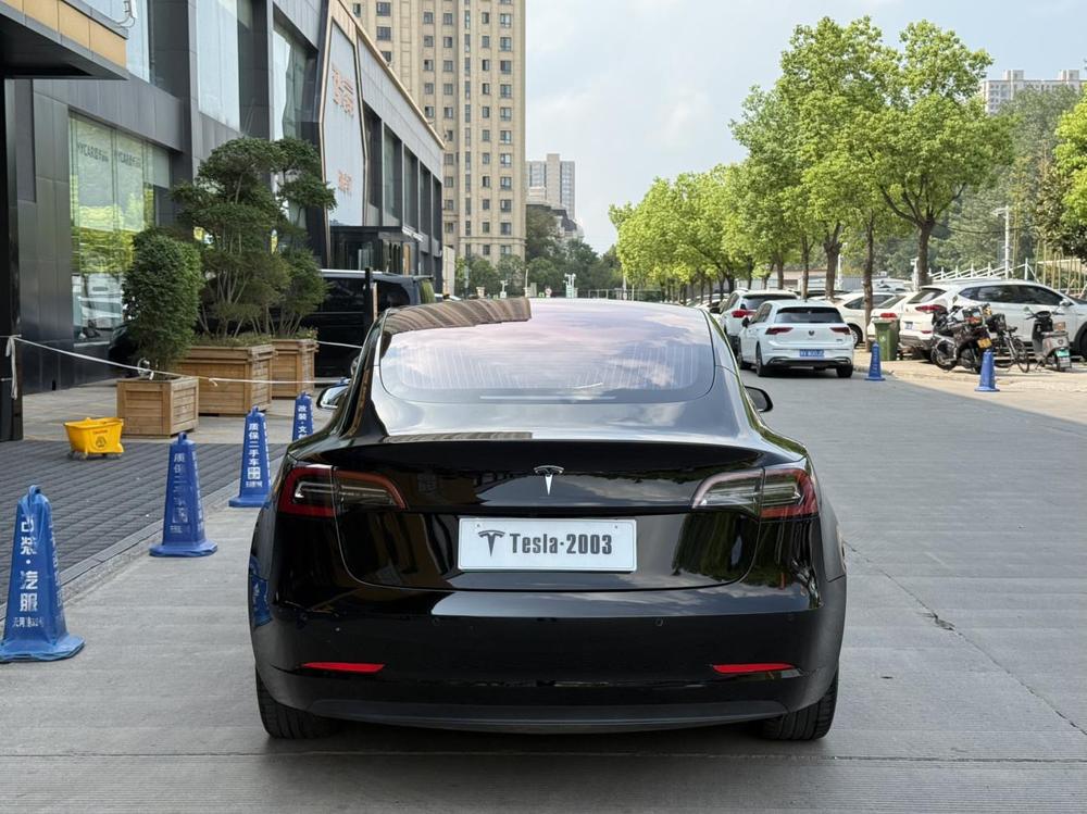 Tesla Model 3 (Imported) 2019 car image #6