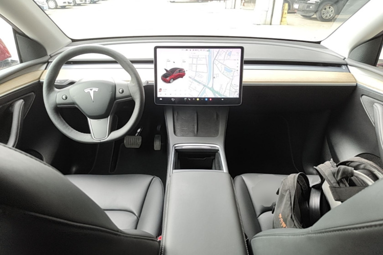 Tesla Model Y 2021 car image #10