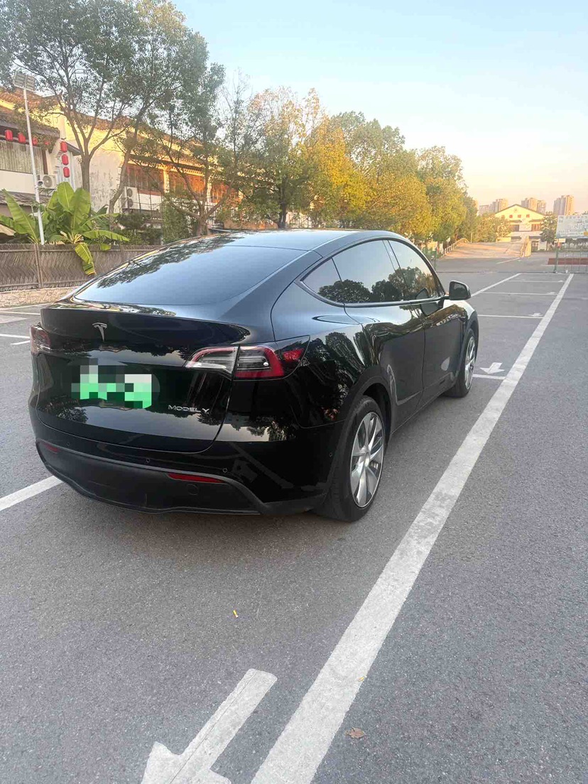 Tesla Model Y 2021 immagine di auto #6