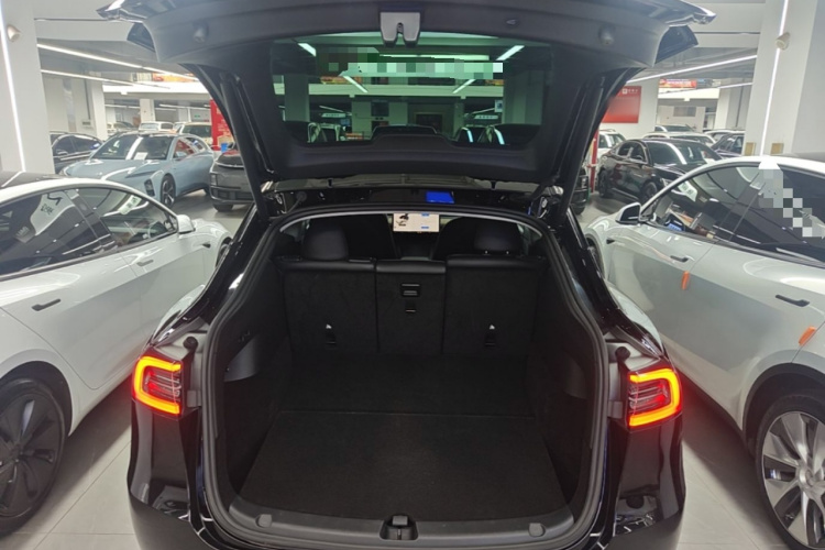 Tesla Model Y 2022 car image #19