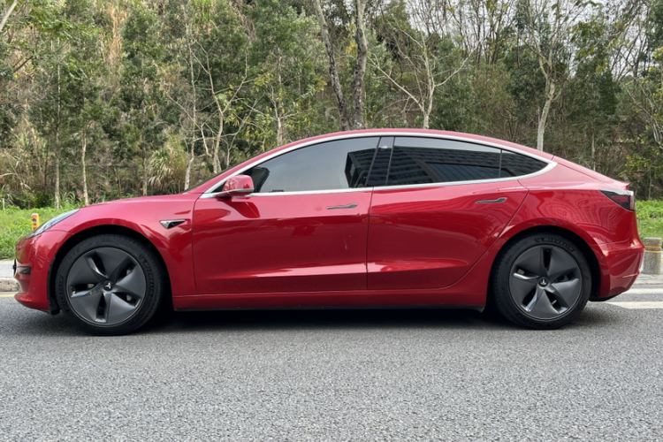 Tesla Model 3 2020 car image #6