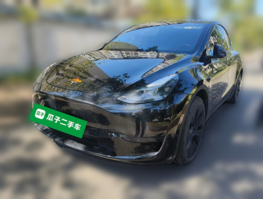 Tesla Model Y 2024 car image 