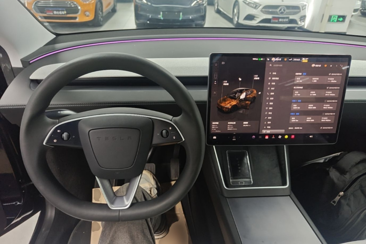 Tesla Model Y 2025 car image #11