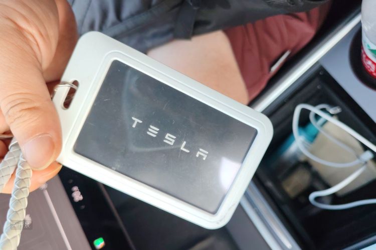 Tesla Model 3 2021 #10 Tesla Model 3 2021 car image #10