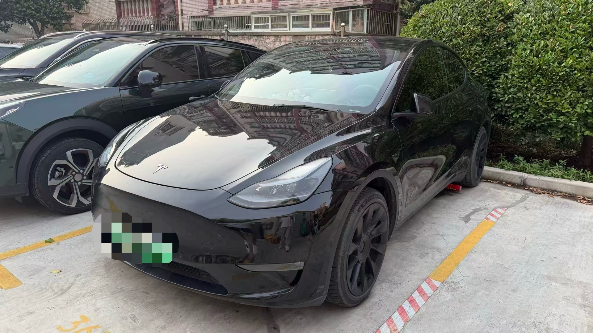 Tesla Model Y 2021 car image 