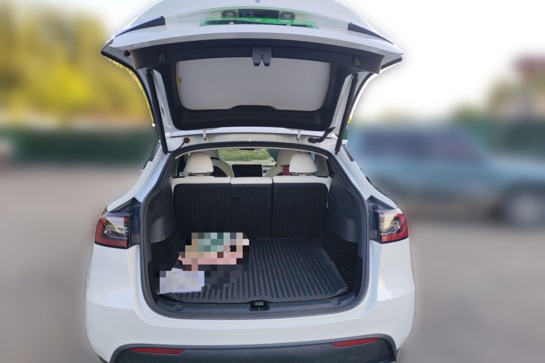 Tesla Model Y 2024 #8 Tesla Model Y 2024 car image #8