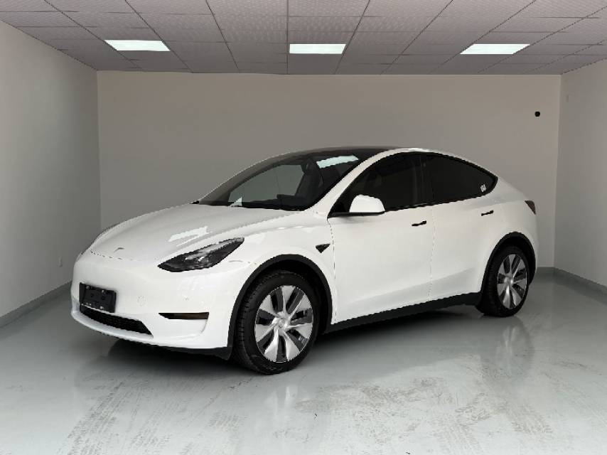Tesla Model Y 2023 car image 