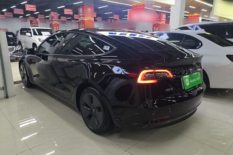 Tesla Model 3 2023 #5 Tesla Model 3 2023 car image #5