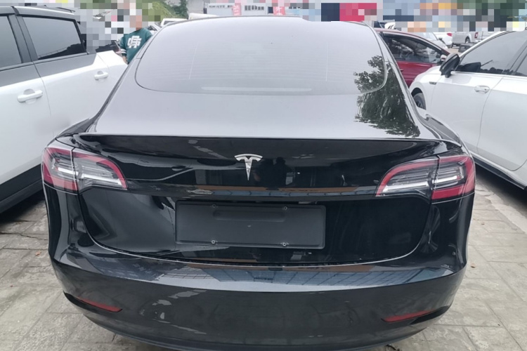 Tesla Model 3 2023 car image #6